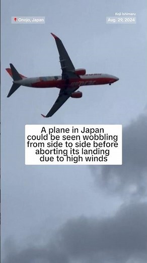 Plane in Japan seen wobbling side to side before aborting landing due to high winds