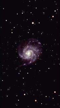 The Pinwheel Galaxy #space #galaxy #seestar