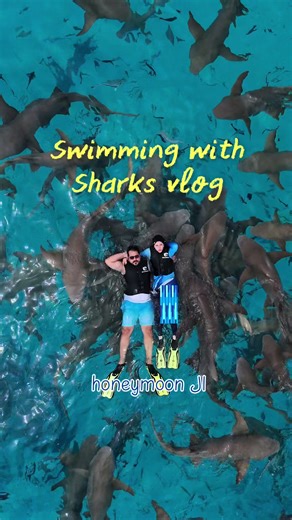 Maldives vlog | Part 1 🤍🌊🌅🦈🌞 #maldivestiktok #sharkswimming #swimwithsharks #adventures #creatorsearchinsights