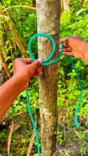This Rope Setup Looks Easy—Try It! #survival #lifehacks #shorts