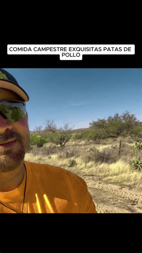 Understanding Immigration Trends in Arizona