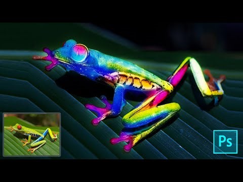 Colorfull Frog - Photoshop Invert Color Trick Effect
