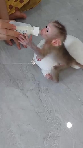 Terri pompay on TikTok