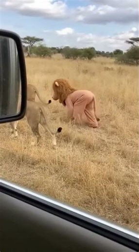 Hey, Your Posture is Wrong, Let Me Teach You'