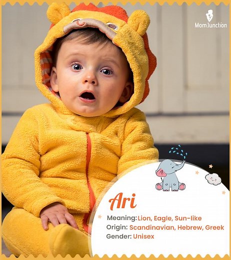 Ari Name Meaning: 6 Origins, Variants, And Popularity In 2025