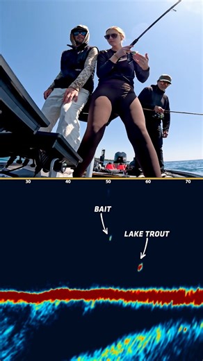 MEGA Live 2 for Lake Trout? Yes, please! 🙌 #MEGALive2 #Humminbird | Humminbird