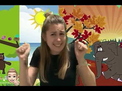 CANCIÓN ESTACIONES - LENGUA DE SIGNOS ESPAÑOLA