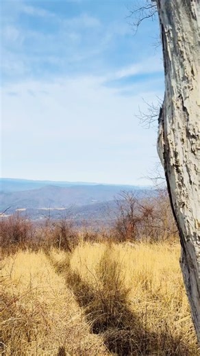 Shadow Mountain Escape (Cabin Rentals) on Instagram: "💕📸Something.....so good!!!! Quick view of a fun hike from the Jewel Hollow Overlook to Mary's Rock!!! Extra fun as well have family visiting from Massachusetts and Florida-thrilled to share our backyard with them!!!! #shadowmountainescape #sillyfun #blueridgemountains #shenandoahvalley #virginiaisforlovers #hiking #shenandoahnationalpark #travel #adventure"