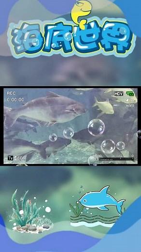 smj在抖音记录美好生活20230305