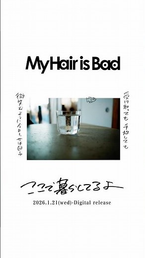 #MyHairisBad New Music Video「ここで暮らしてるよ」公開中 #ここで暮らしてるよ #マイヘア #マイヘア暮らし