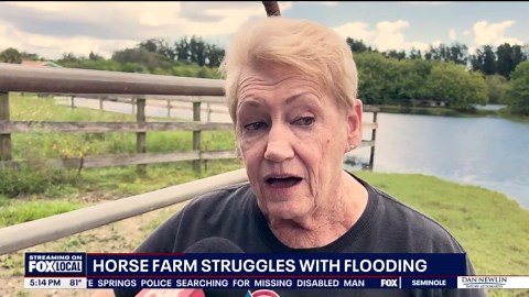 Harmony Farms hit hard by flooding