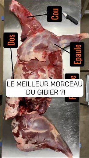 Comment découper une biche étape par étape. 🔪