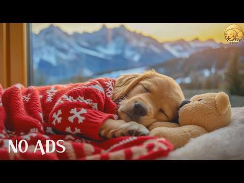 12 HOURS of Dog Calming Music 🐶🌸 Separation Anxiety Relief 🎶 Deep Sleep for Dogs 💤 No Ads