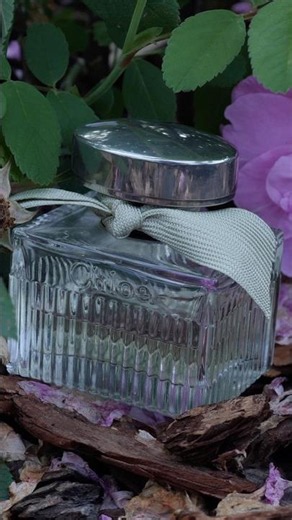 L’Eau de Chloé Review @chloe #luxuryfragrance #chloe #perfume #fragrance #art #scent