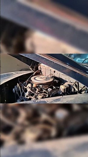Discovering the Rare 300 Buick V8 Engine 🔧