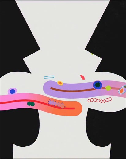 Mellow Studio | February. Follow Through and Overlapping Action. You make one move, a few more tag along, nothing wraps up cleanly and everything... | Instagram