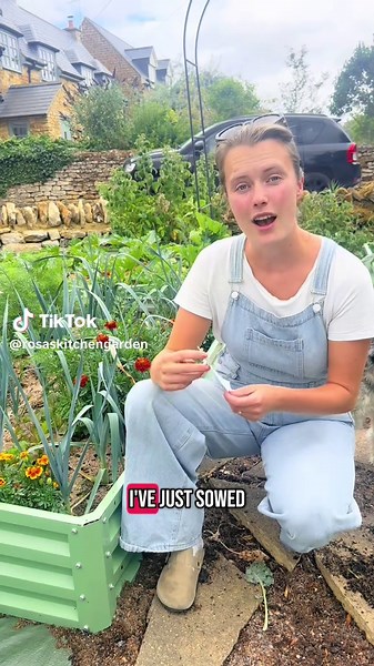 SAVE THIS VIDEO! If you’d like a spring harvest of cabbage, before anything else is ready, then get sowing your seeds now 🥬😁🌱☀️ This video shares tips on how I sow mine, ready for spring! #vegetablegarden #beginnergardening #GardenTok #gardeningtips #kitchengarden