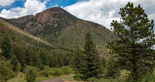 Blodgett Peak Hike Near Colorado Springs - Day Hikes Near Denver