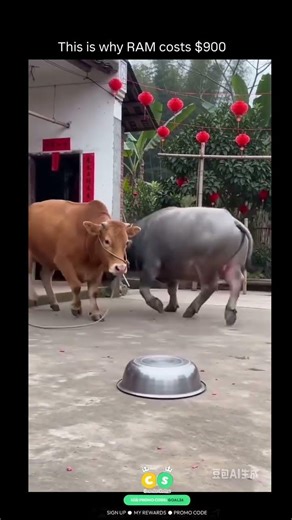 This is why RAM costs $900