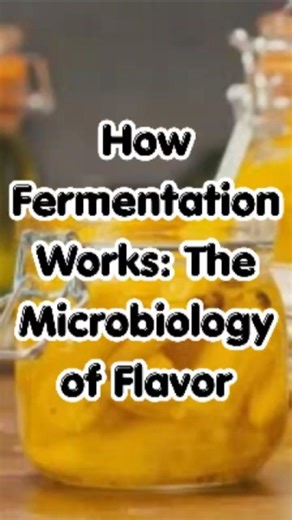 How Fermentation Works The Microbiology of Flavor