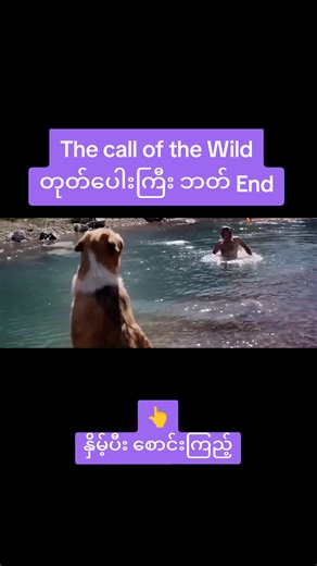 The Call of the Wild - Movie Recap