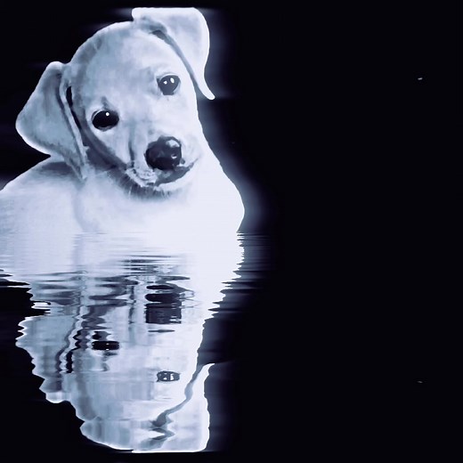 hola boboto #elpatioinsano