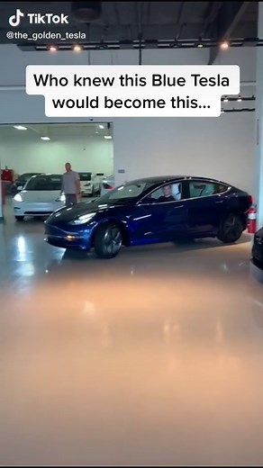 From a Blue Tesla to a Matrix Black and GOLD Tesla ✨ Be unique 🌟 #Tesla #teslamodel3 #gold #foryoupage #luxurycars