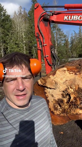 Exploring a Decaying Maple Log for Spalted Wood