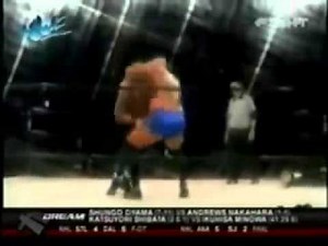 Matt Morgan - Hellevator(Vertical suplex side slam)