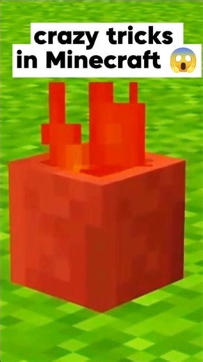 Minecraft Tricks You Didn't Know Existed #minecraft