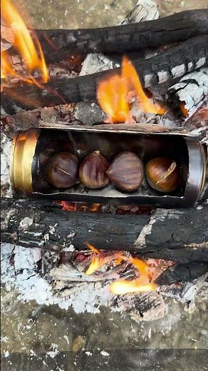How to Cook Chestnuts While Camping: Easy and Delicious