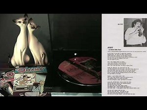 The Shakers - Omaha The Cat Dancer (1988) - Catseye