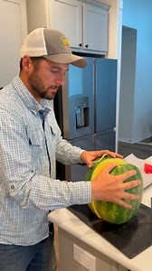 SO GOOOOOD #easyrecipes #frozenwatermelon #watermelondessert #gardenfun #gardening | Farmer Froberg