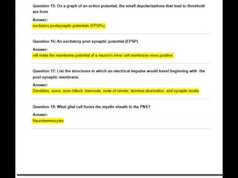 FREE ANATOMY AND STUDY GAMES ABOUT A&P HW CH 12 EXAM QUESTIONSActual Qs and Ans Expert