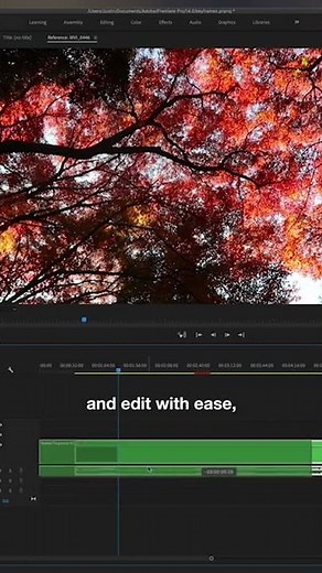 The EASIEST Way to Duplicate Clips in Adobe Premiere