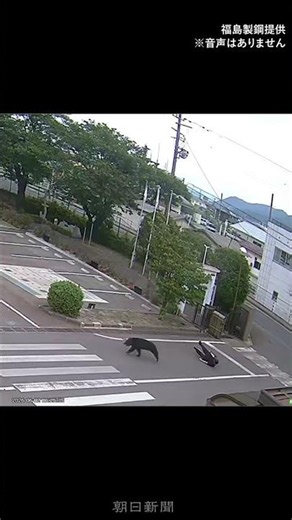 「従業員がかまれた」福島市の工場敷地内にクマ現れ住民含む4人がけが 住宅街周辺、近隣の学校は臨時休校
