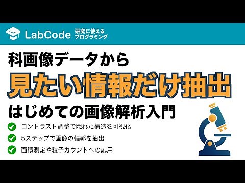 【画像解析入門 #2】ImageJの基本的な使い方！代表的な画像処理（コントラスト調整・輪郭抽出）を実践