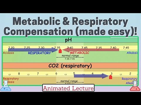Respiratory and Metabolic affects on blood pH (including compensation). ABG basics made Easy!