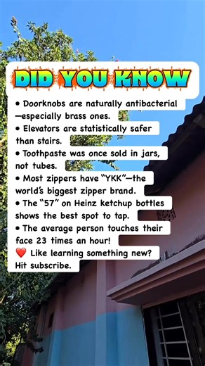 Why Every Doorknob Is a Germ-Killing Machine 🦠🚪 #facts | Devlop's Puzzle Game