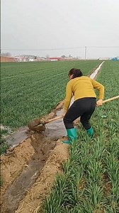 Essential farming tools for rural farmers | rural farmers agricultural activities #tools #agrip