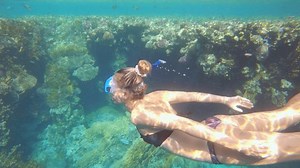 Woman dives in tropical sea, underwater. Female explores the reef around, people on vacation, woman adventures underwater with snorkel gear