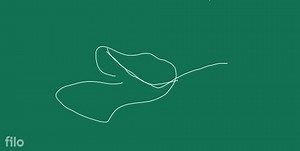 Asexual reproduction and its typesHow sexual reproduction flow... | Filo