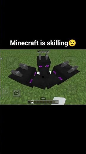 Skilling face in minecraft buildhacks #minecraft #gaming #buildhack #sksplays53