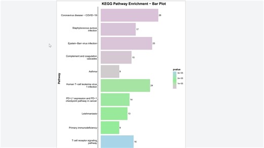 293.KEGG展示感兴趣的通路，手动标记展示的通路，自定义通路