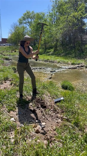 IRWP is working to restore the riparian buffer along Spring Creek in Springdale, and you can be a part of this restoration! Join us on Thursday, May 15 at 9:00 am to help us plant native shrubs and trees while managing invasive plant species. To register to volunteer please visit www.irwp.org/events/spring-creek-volunteer-5-15-25. City of Springdale, AR - Mayor's Office Downtown Springdale Team Springdale | Illinois River Watershed Partnership