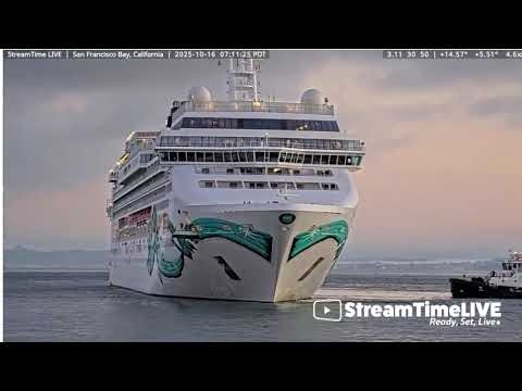 The Norwegian Jade #shorts #cruiseship