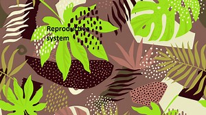 Reproductive System - Phlebotomy Career Training