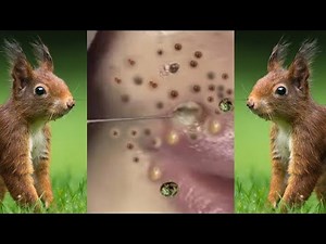 Progreso humano con sueños #QBS