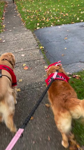 Jessica Mitchell (@jessicamitchell030)’s videos with original sound - Jessica Mitchell