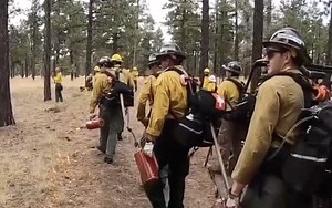 Senators raise alarm over steep drop in wildfire prevention work